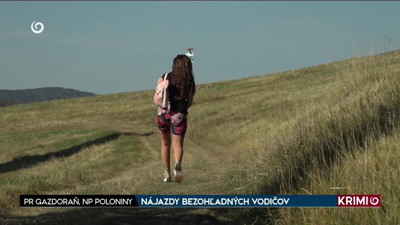 NÁJAZDY BEZOHĽADNÝCH VODIČOV