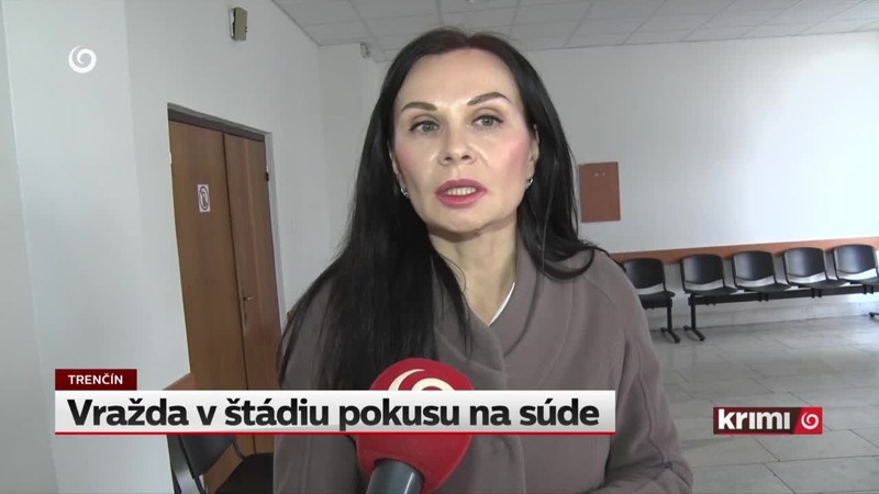 Vražda v štádiu pokusu na súde