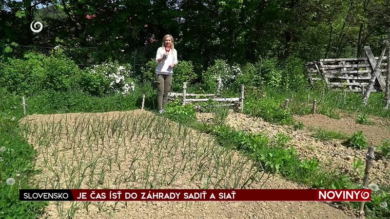 JE ČAS ÍSŤ DO ZÁHRADY SADIŤ A SIAŤ