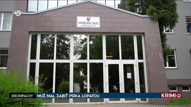 MUŽ MAL ZABIŤ PSÍKA LOPATOU