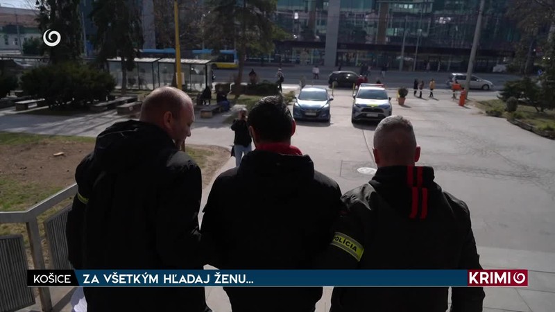 ZA VŠETKÝM HĽADAJ ŽENU...