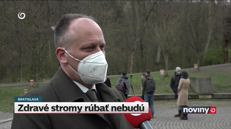 Zdravé stromy rúbať nebudú