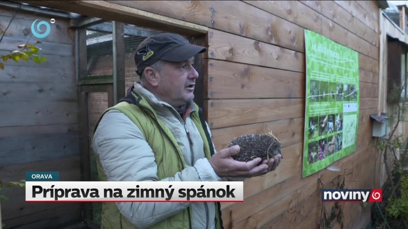 Príprava na zimný spánok