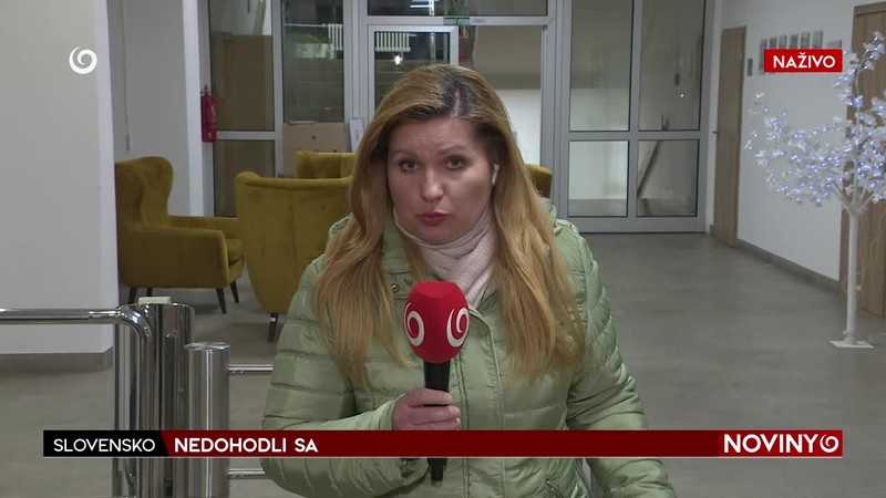 NEDOHODLI SA