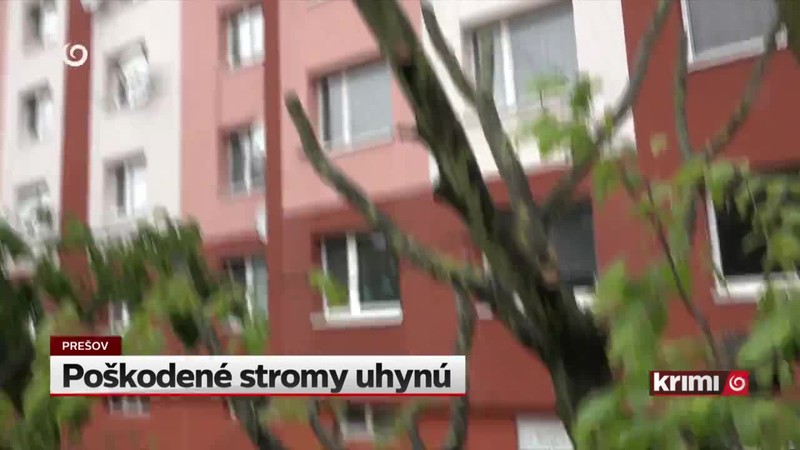 Poškodené stromy uhynú