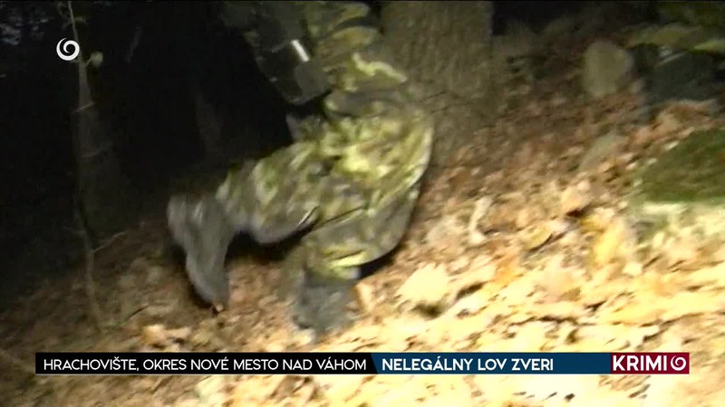 NELEGÁLNY LOV ZVERI