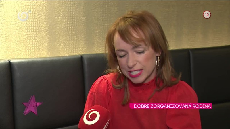 DOBRE ZORGANIZOVANÁ RODINA