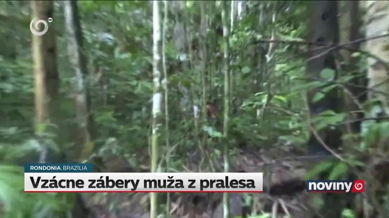 Vzácne zábery muža z pralesa