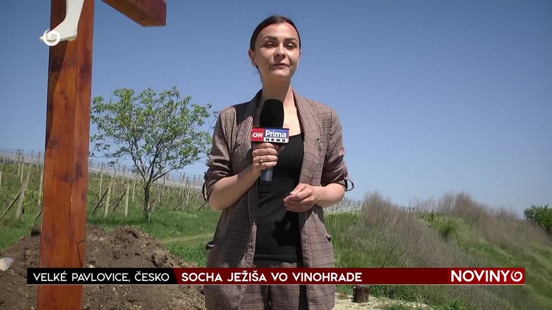 SOCHA JEŽIŠA VO VINOHRADE