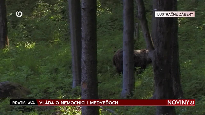 VLÁDA O NEMOCNICI I MEDVEĎOCH