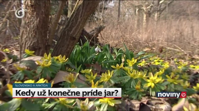 Kedy už konečne príde jar?