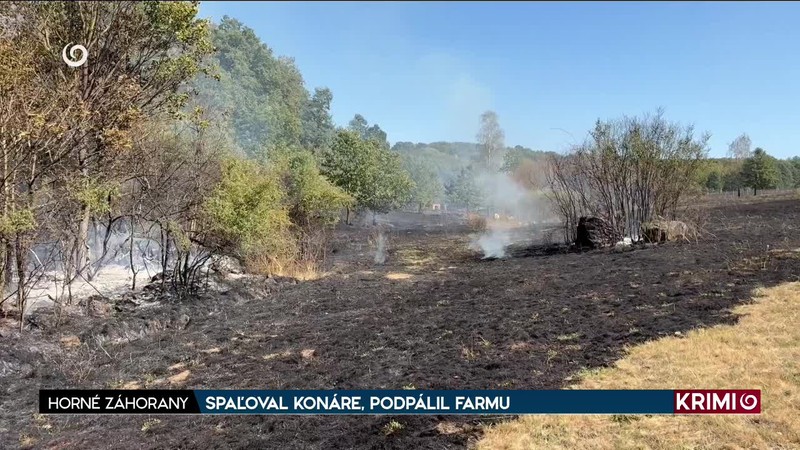 SPAĽOVAL KONÁRE, PODPÁLIL FARMU