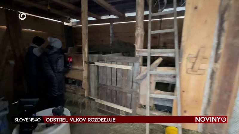 ODSTREL VLKOV ROZDEĽUJE