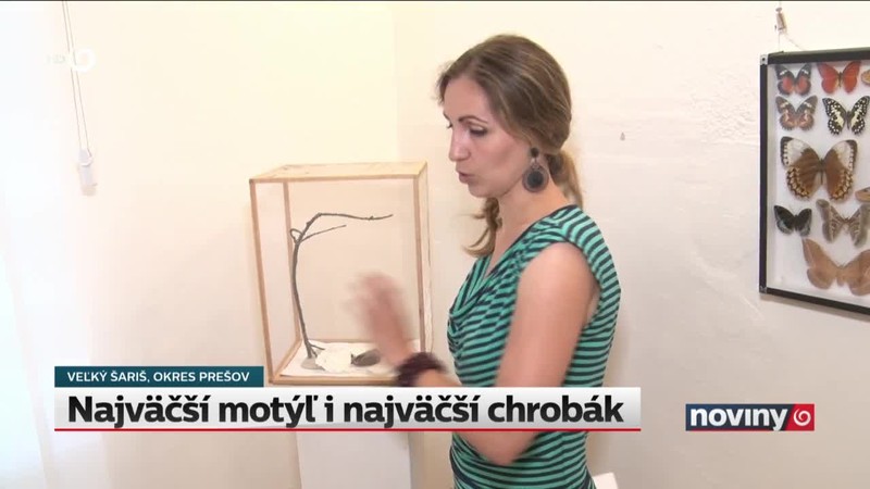 Najväčší motýľ i najväčší chrobák