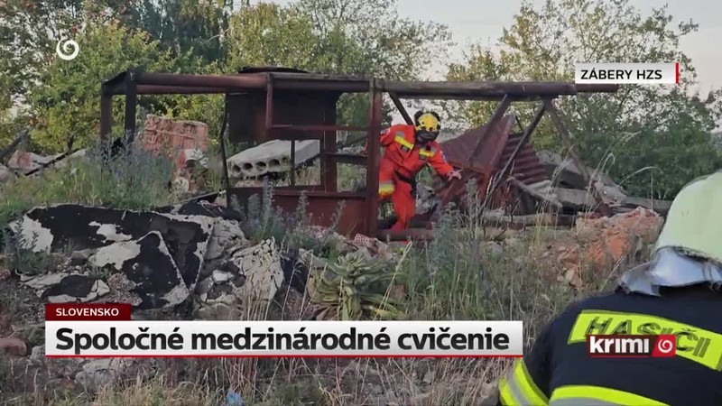 Spoločné medzinárodné cvičenie