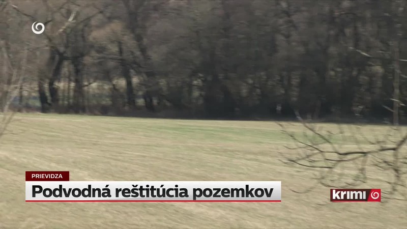 Podvodná reštitúcia pozemkov