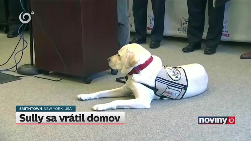 Sully sa vrátil domov