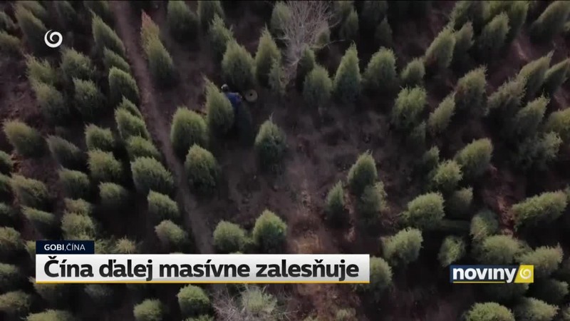 Čína ďalej masívne zalesňuje