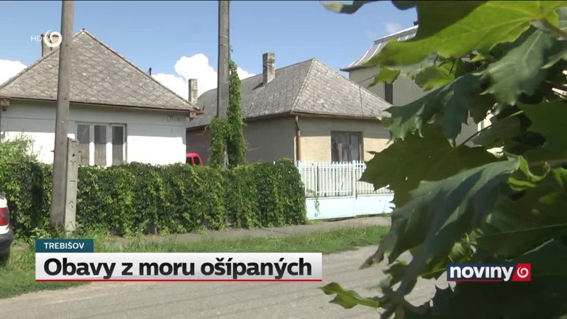 Obavy z moru ošípaných