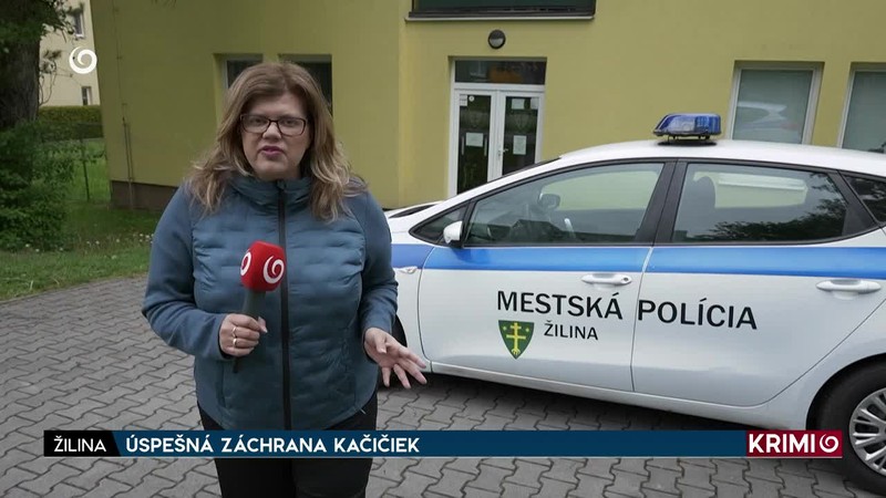 ÚSPEŠNÁ ZÁCHRANA KAČIČIEK