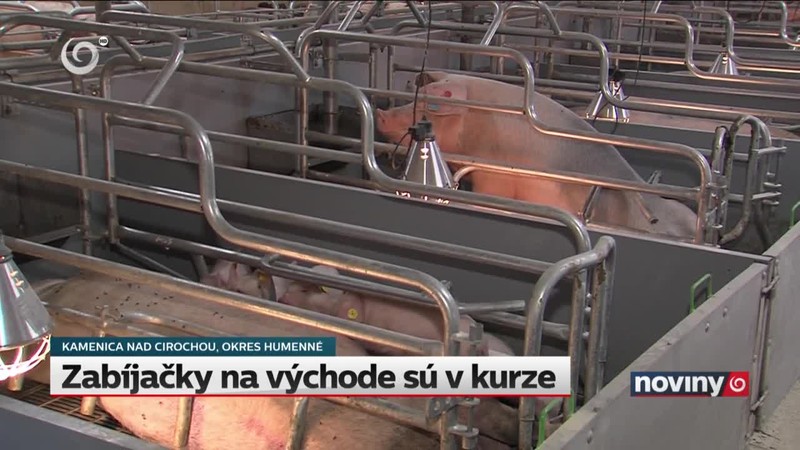 Zabíjačky na východe sú v kurze