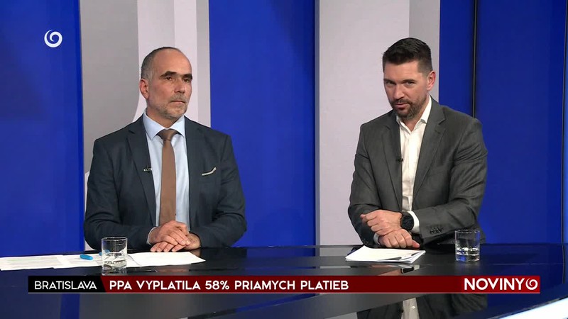PPA VYPLATILA 58% PRIAMYCH PLATIEB