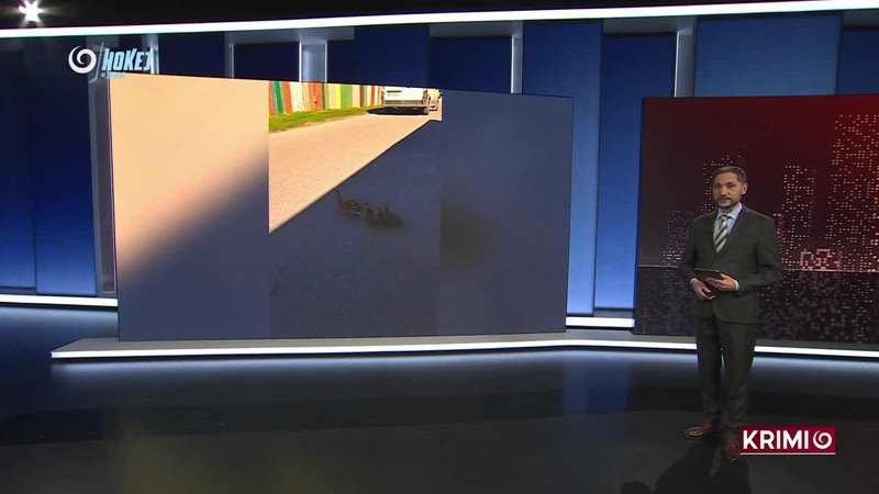 ŠŤASTIE V NEŠŤASTÍ