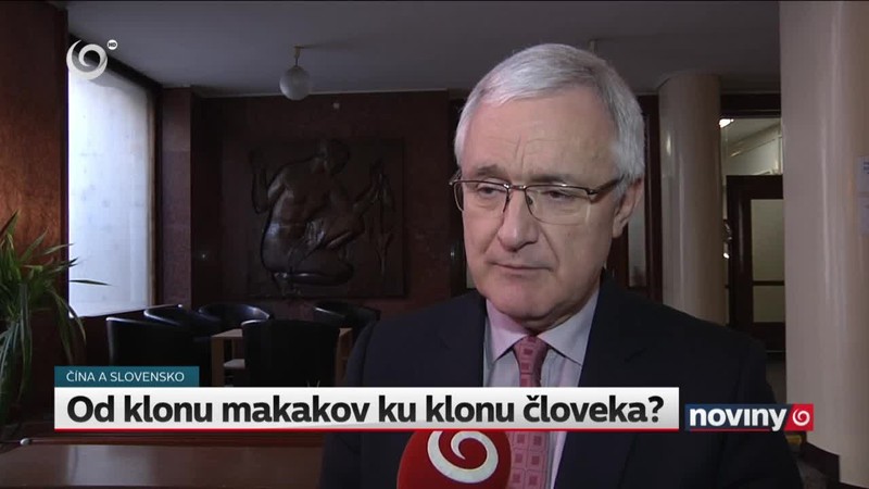 Od klonu makakov ku klonu človeka?