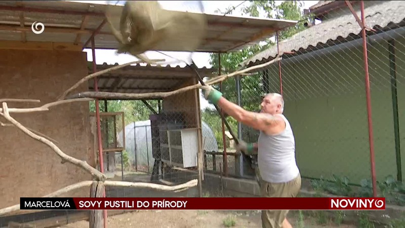 SOVY PUSTILI DO PRÍRODY