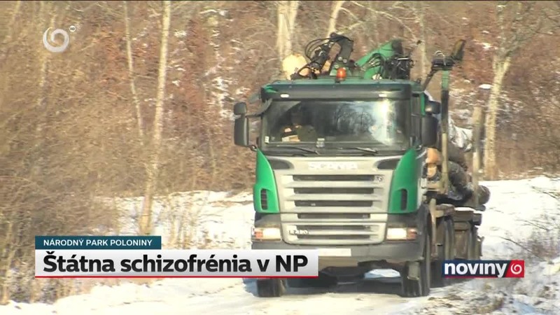 Štátna schizofrénia v NP