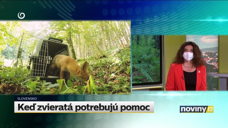 Keď zvieratá potrebujú pomoc