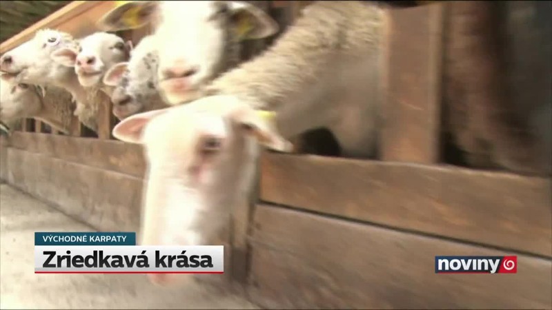 Slovenský "kruháč" v Poľsku