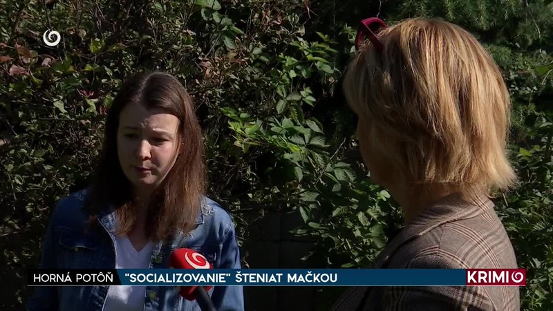 "SOCIALIZOVANIE" ŠTENIAT MAČKOU