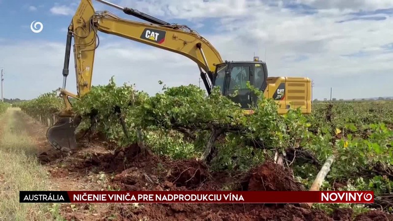 NIČENIE VINIČA PRE NADPRODUKCIU VÍNA