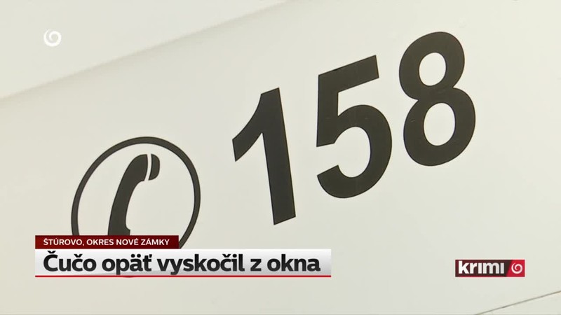 Čučo opäť vyskočil z okna