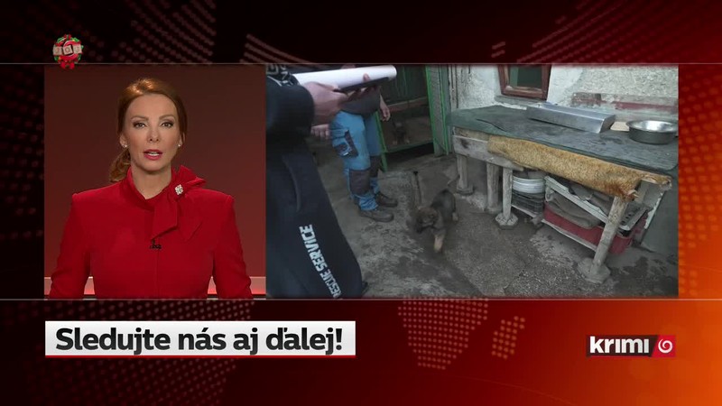 Najväčšie krimi udalosti roka