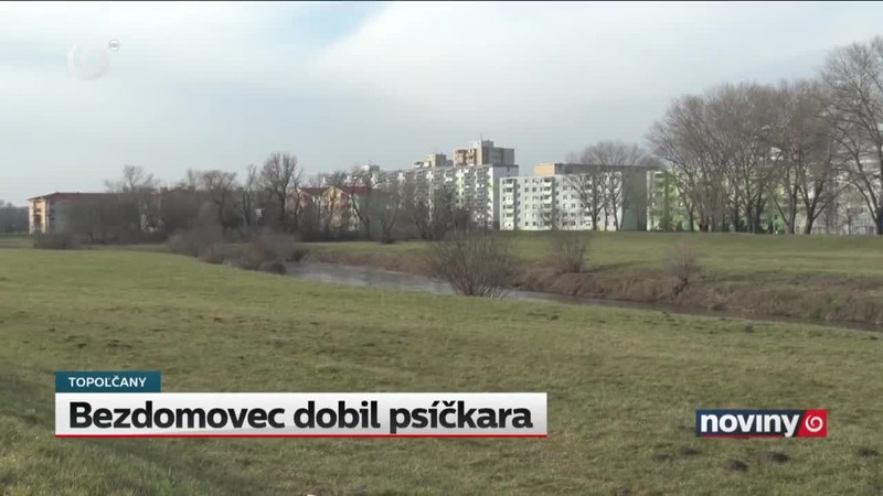 Bezdomovec dobil psíčkara