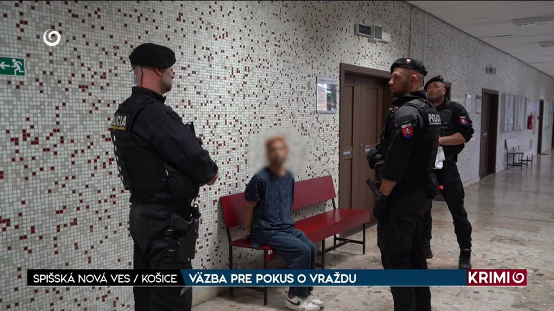 VÄZBA PRE POKUS O VRAŽDU