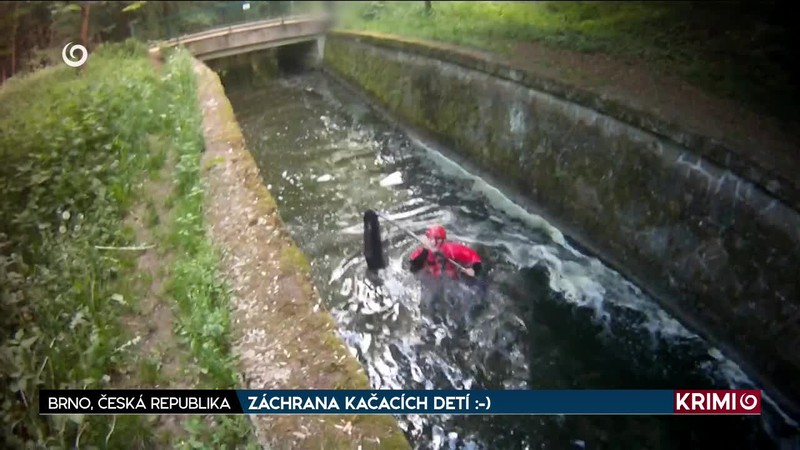ZÁCHRANA KAČACÍCH DETÍ :-)