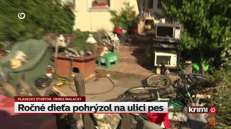 Ročné dieťa pohrýzol na ulici pes