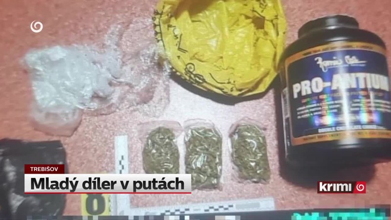 Mladý díler v putách