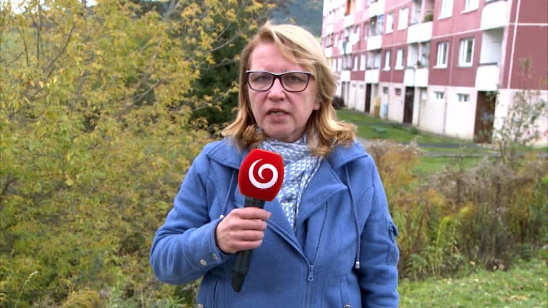 V okolí Žiliny sa pohybuje medveď. poľovníci nakrútili video