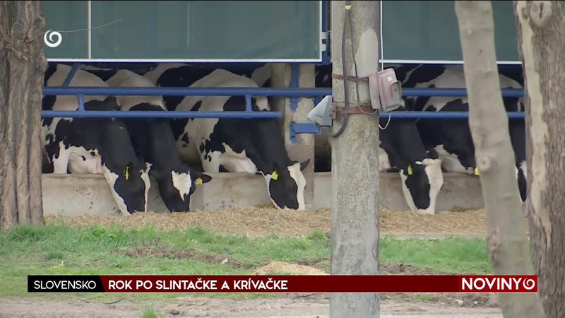 ROK PO SLINTAČKE A KRÍVAČKE