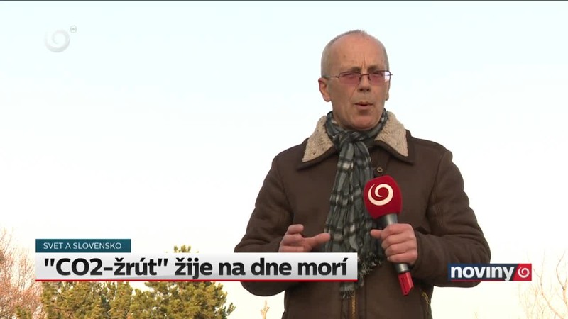 "CO2-žrút" žije na dne morí