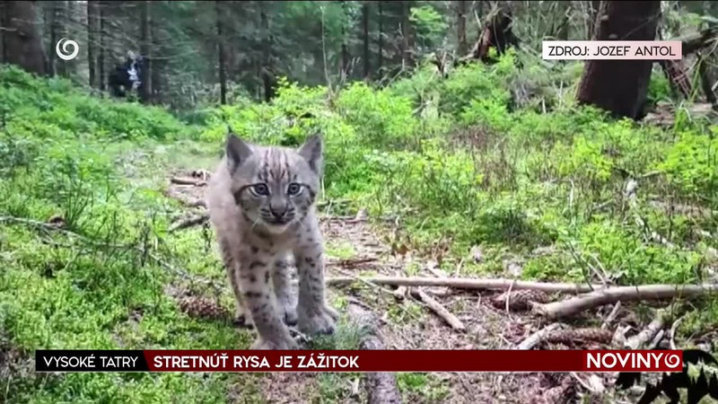 STRETNÚŤ RYSA JE ZÁŽITOK