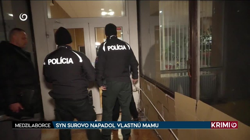 SYN SUROVO NAPADOL VLASTNÚ MAMU