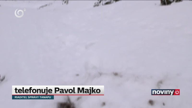 Uhynutý kamzík na plese