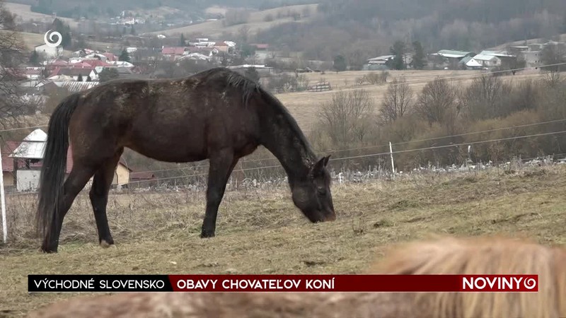 OBAVY CHOVATEĽOV KONÍ