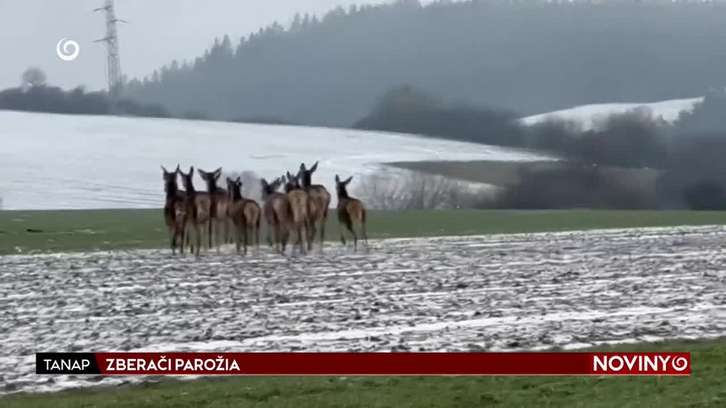 ZBERAČI PAROŽIA