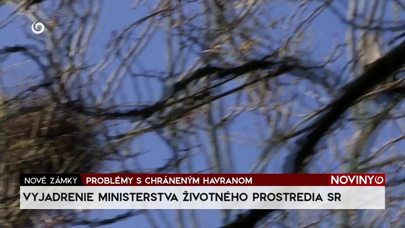 PROBLÉMY S CHRÁNENÝM HAVRANOM